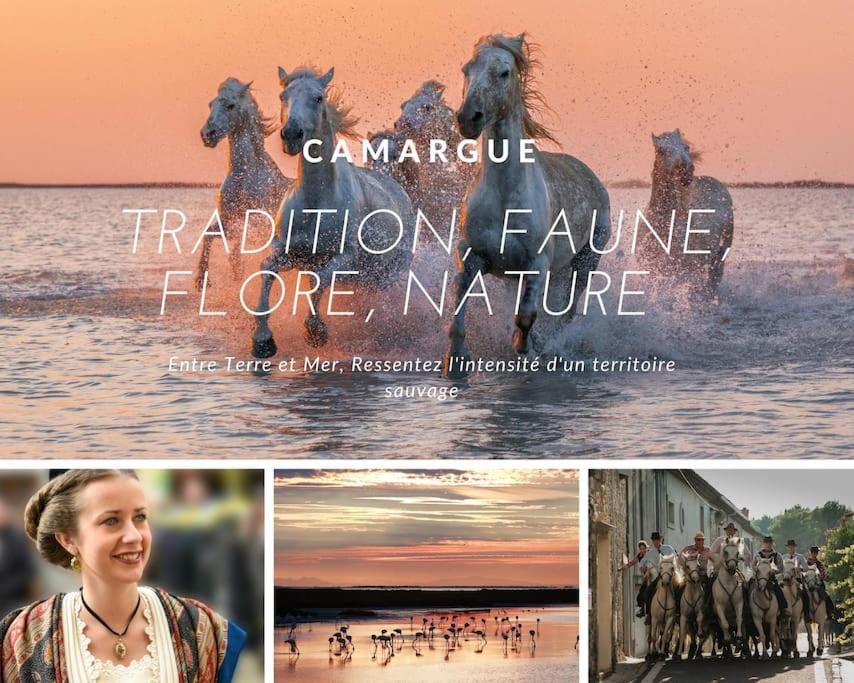 Le Nautilus Proche Plage Clim Parking Prive Wifi Proche Montpellier Carnon-Plage Exterior photo